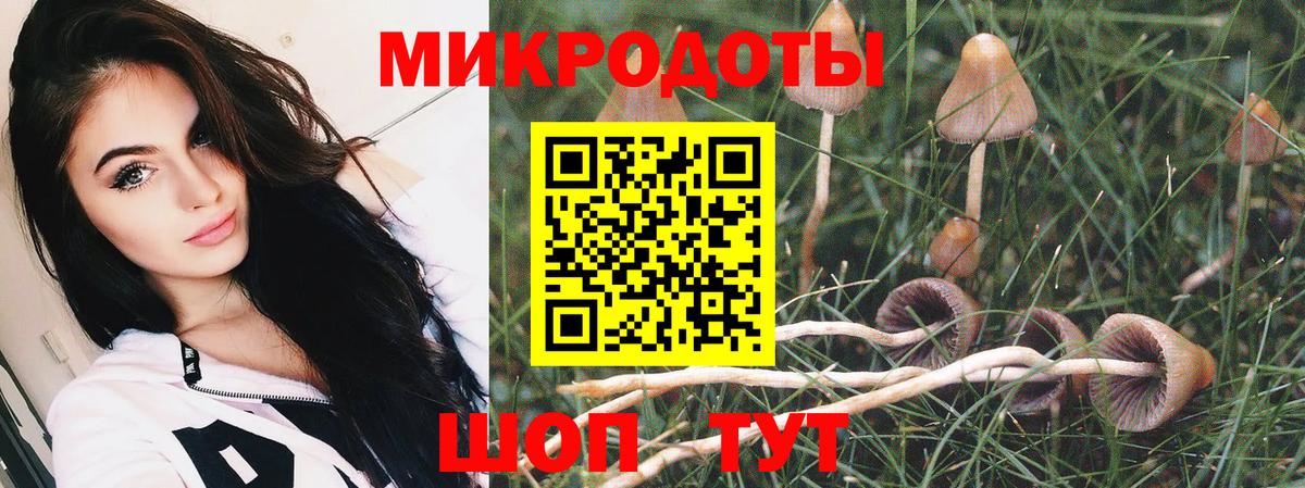 Галлюциногенные грибы прущие грибы Апатиты
