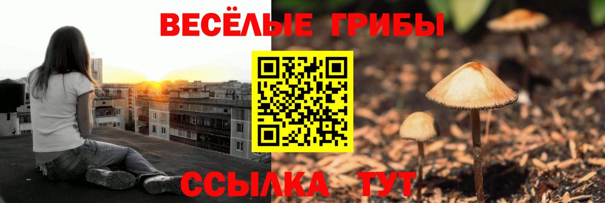 Галлюциногенные грибы MAGIC MUSHROOMS Апатиты